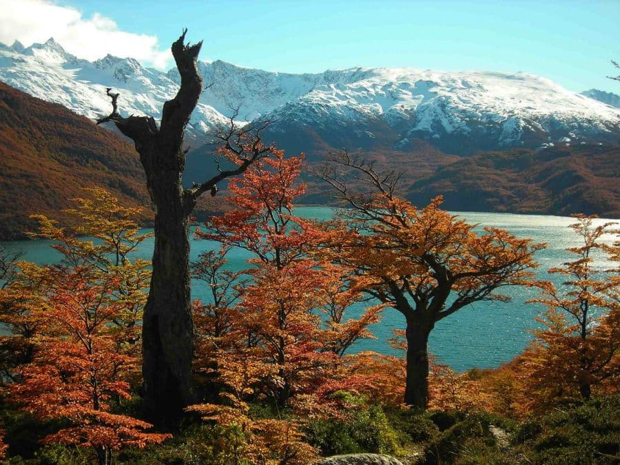 Guía de aventureros para disfrutar el otoño